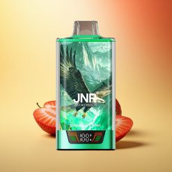 JNR Falcon Pro 28000 Jagoda Kivi 30ml 950mAh Dual Mesh