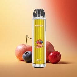 JNR Gold380 6000 Borovičnja Češnja Brusnica 1500mAh 13ml Mesh