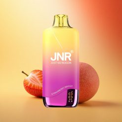JNR Rainbow 10500 Jagoda Mango 600mAh 18ml