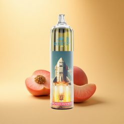 JNR Rocket-X 12400 Breskva Mango Prilagodljiv Pretok Hitro Polnjenje