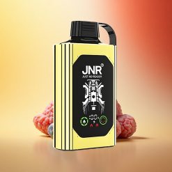 JNR Shisha Hookah Box 20500 Borova Ledena z HD zaslonom in Hitrim polnjenjem Type-C