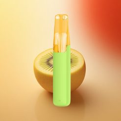 Snowplus Dash 4000 Puffs Ledenik Kiwi Keramika 530