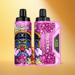 VapSolo VIKING 12000 Puffs Poletna Sanja 22ml Tip-C